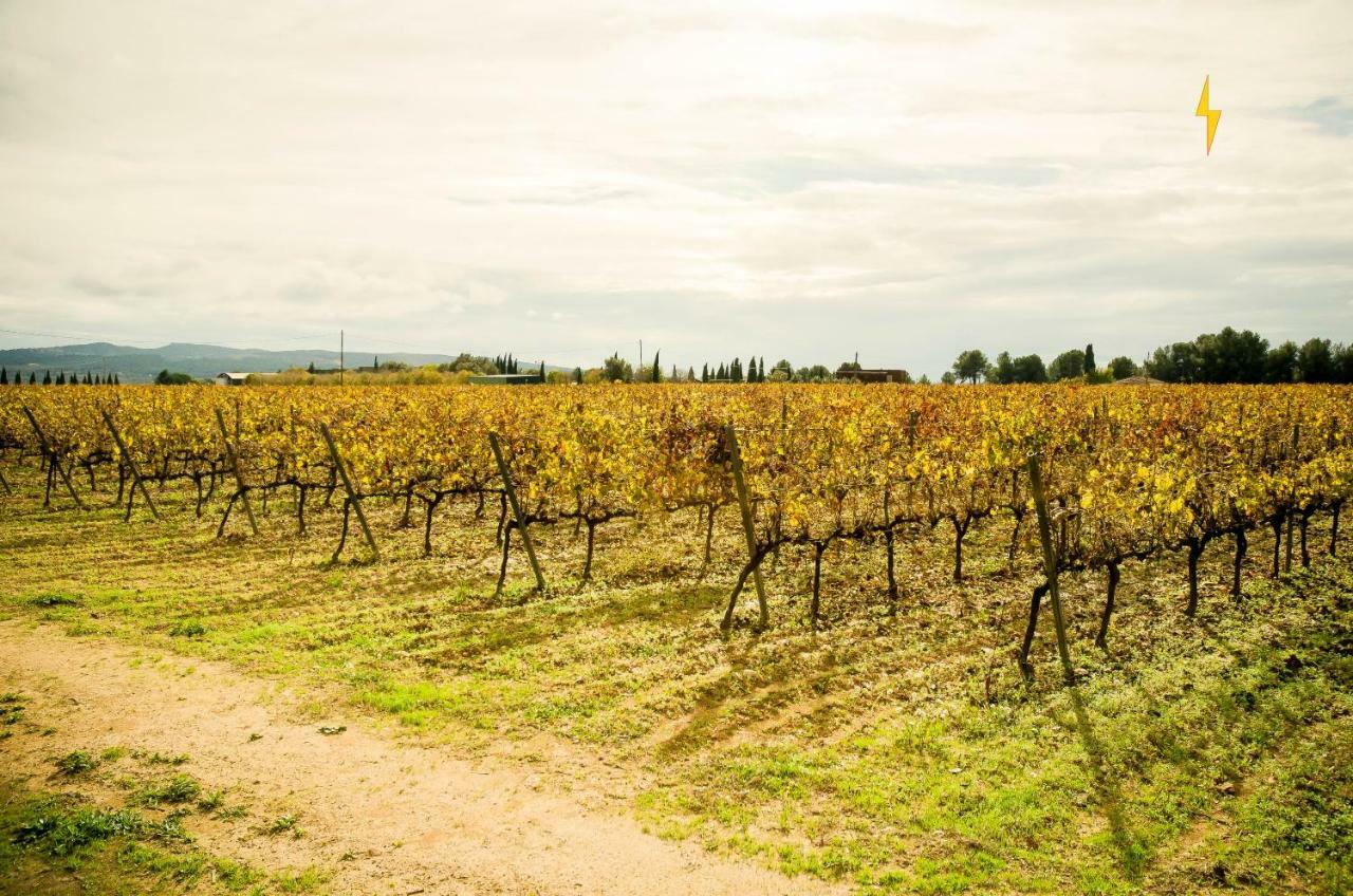 B&B Tina De Pacs, Close To Local Wineries Pacs del Penedes Εξωτερικό φωτογραφία